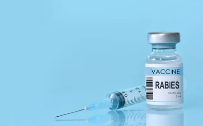 Dog, associated with rabies prevention